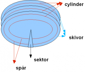 sektor